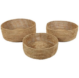 Date leaf product 17